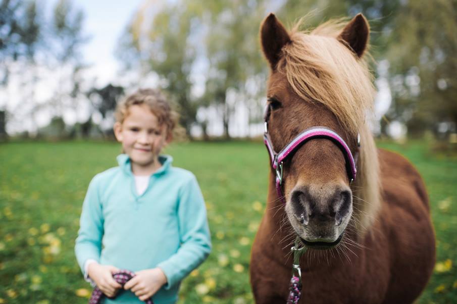 Des animaux et des enfants : la médiation assistée par l'animal près de Lille