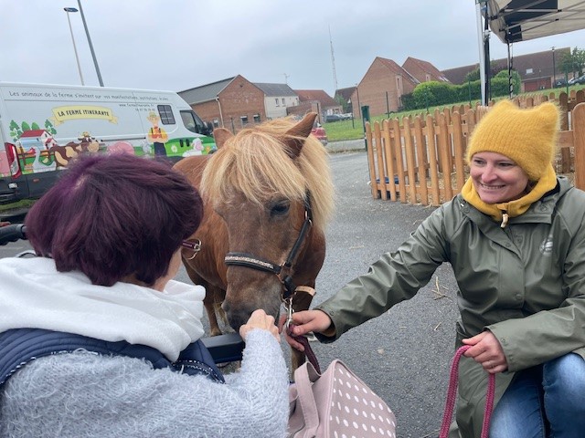 La médiation par le cheval pour les séniors dans le nord prés de Lille