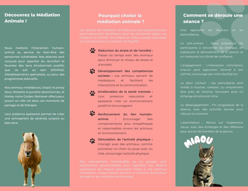 Facilitatrice en relation entre l'animal et les publics vulnérables - Médiation animale à Lille