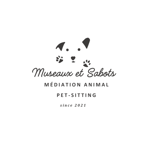 Médiation animale, Pet-Sitting et Randonnée équestre